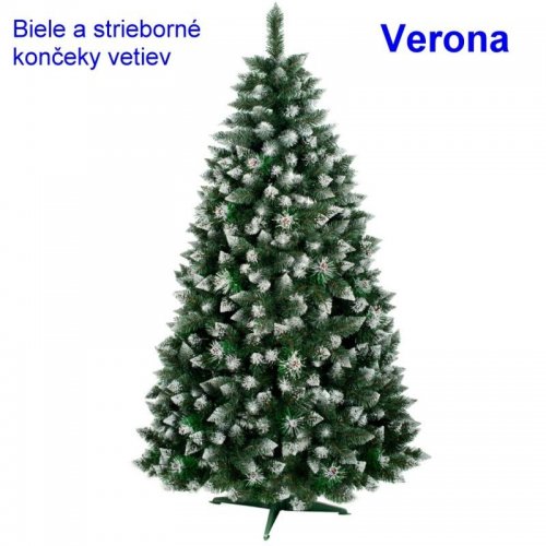 Sosna Verona - biele konce - 1,20cm