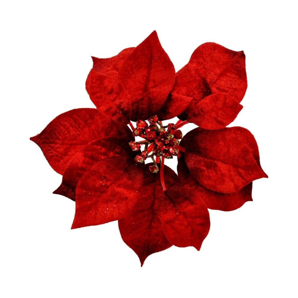 Vianočná ruža krémová s priemerom 16 cm 